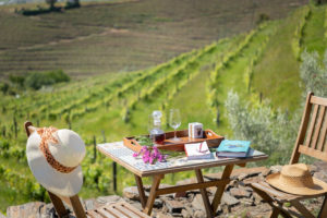 Douro Valley view Oporto Wine
